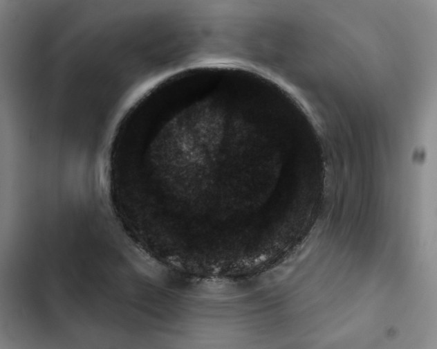 X0000102831319200809151030