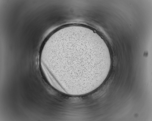X0000102831320200809151030