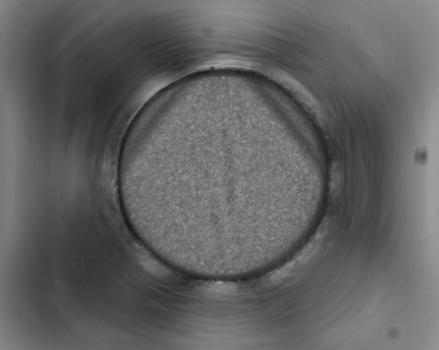 X0000102831321200809151030