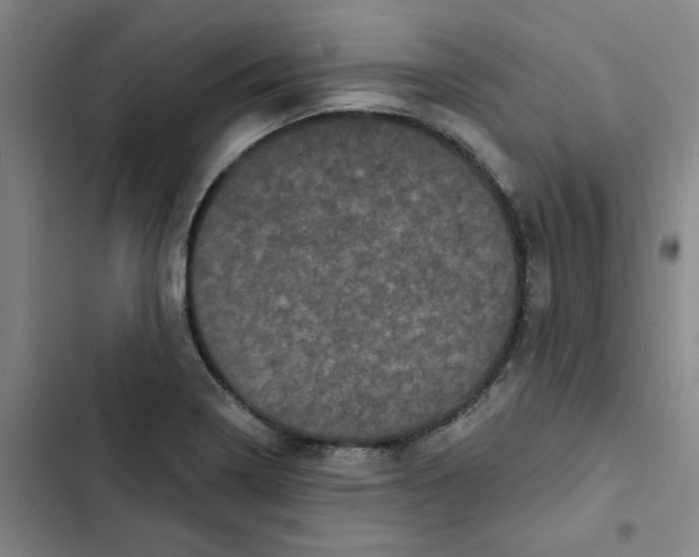 X0000102831322200809151030