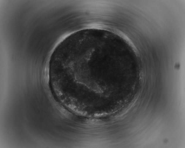 X0000102831323200809151030