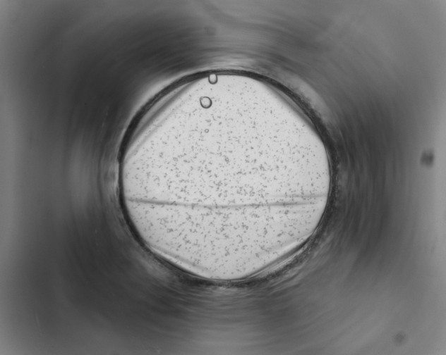 X0000102831324200809151030