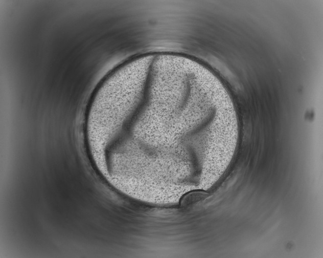 X0000102831325200809151030