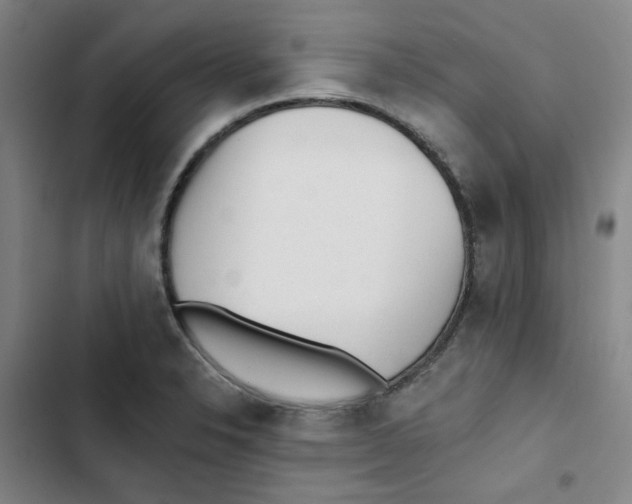 X0000102831326200809151030