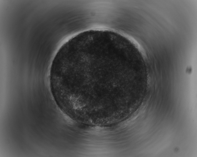 X0000102831327200809151030