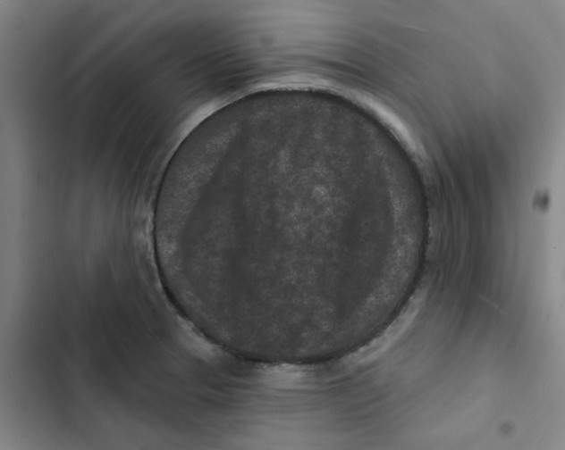 X0000102831329200809151030