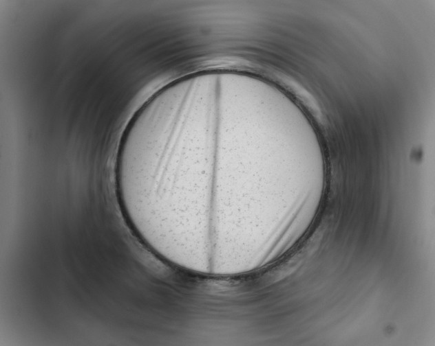 X0000102831330200809151030
