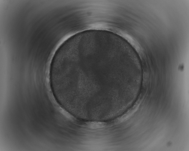 X0000102831331200809151030