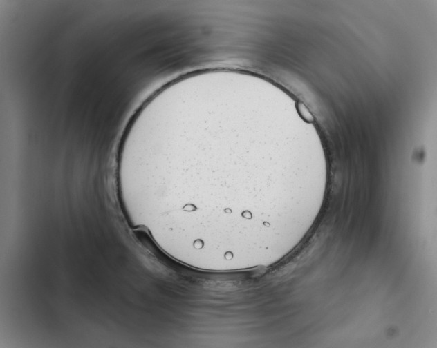 X0000102831332200809151030