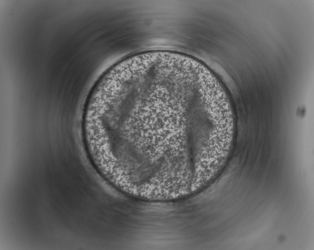 X0000102831333200809151030