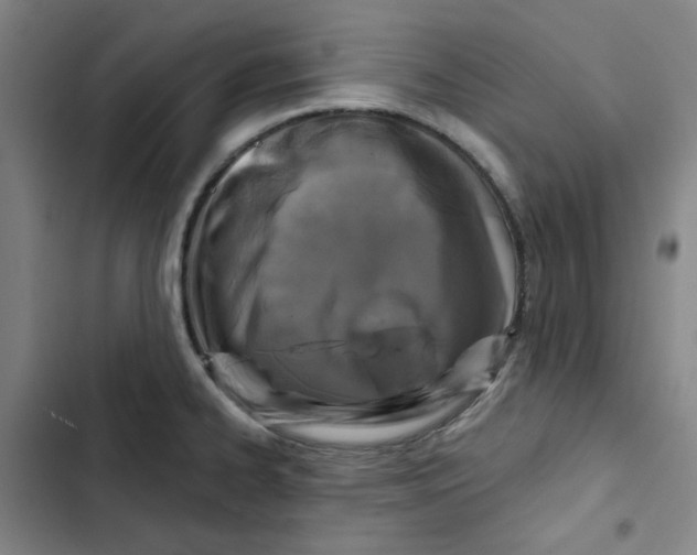 X0000102831334200809151030