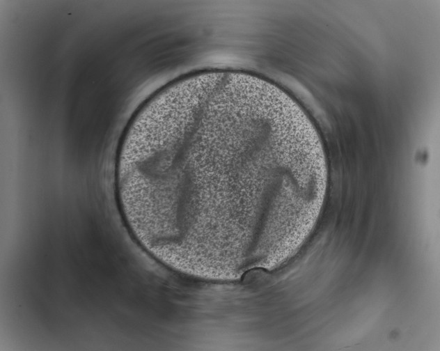 X0000102831335200809151030