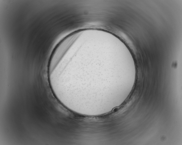 X0000102831336200809151030