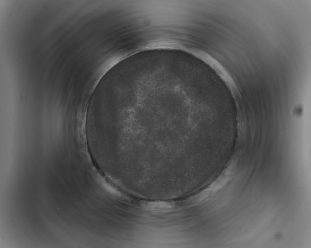 X0000102831337200809151030
