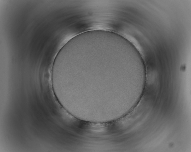X0000102831338200809151030