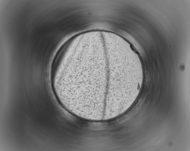 X0000102831339200809151030