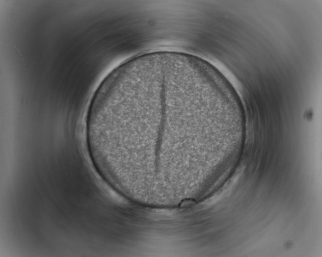 X0000102831341200809151030