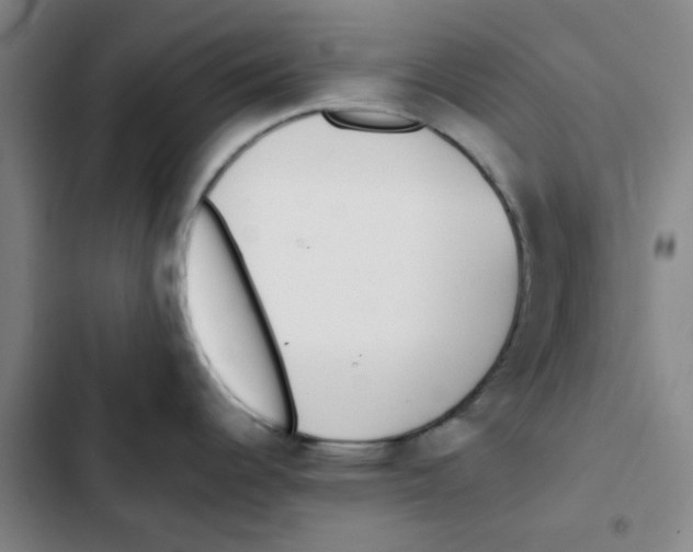 X0000102831344200809151030