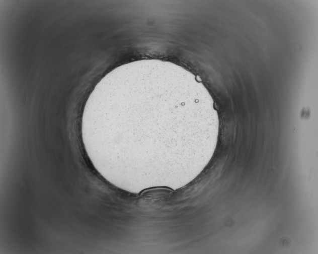 X0000102831345200809151030