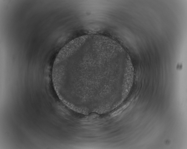X0000102831346200809151030