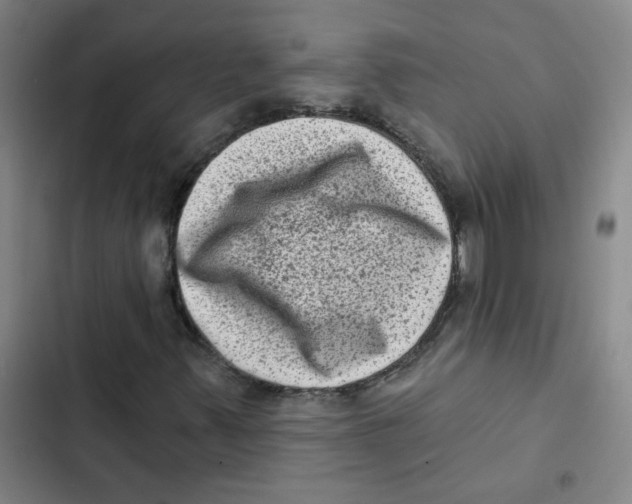 X0000102831347200809151030