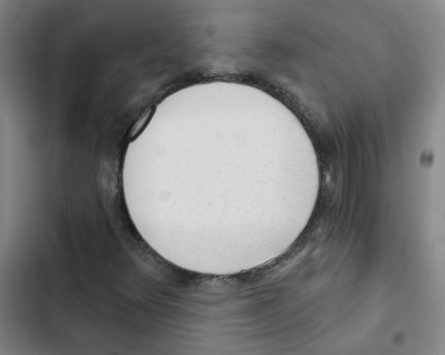 X0000102831348200809151030