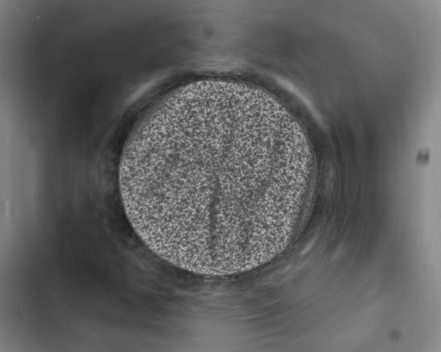 X0000102831350200809151030