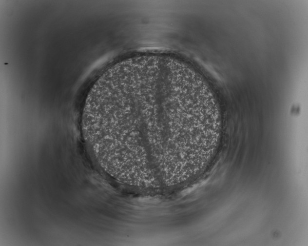 X0000102831351200809151030