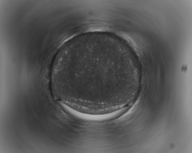 X0000102831353200809151030