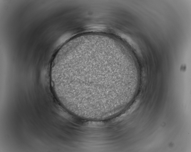 X0000102831354200809151030
