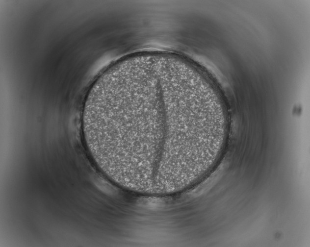 X0000102831355200809151030