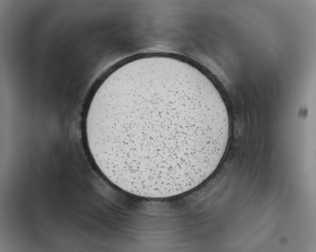 X0000102831356200809151030