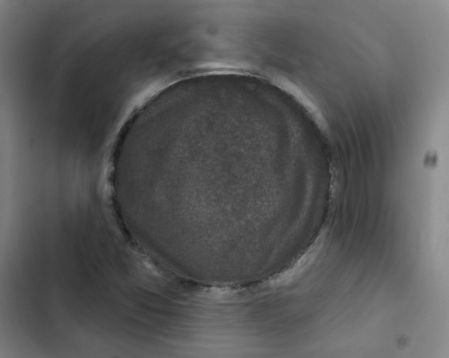 X0000102831357200809151030