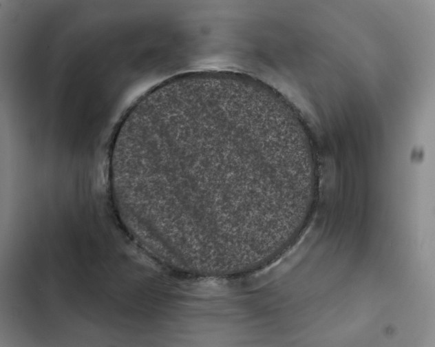 X0000102831358200809151029