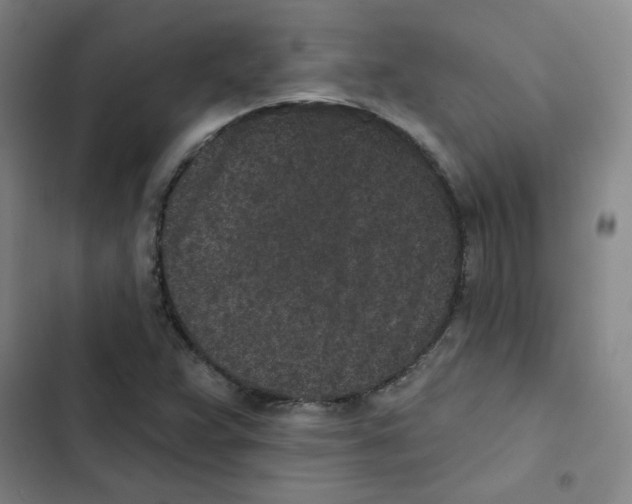 X0000102831359200809151029