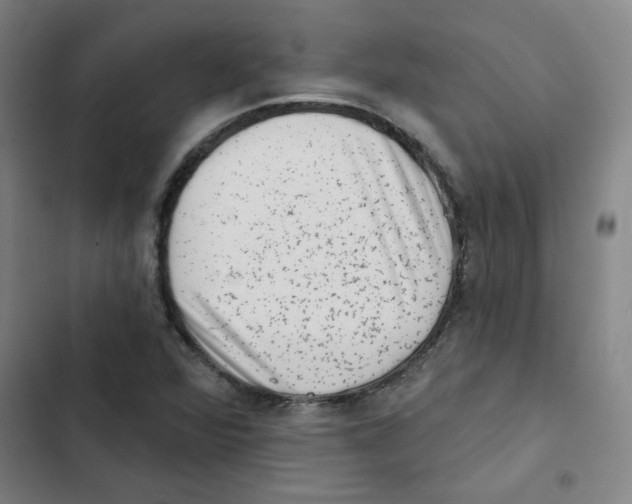 X0000102831360200809151029