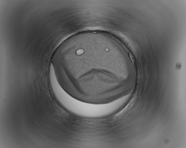 X0000102831361200809151029
