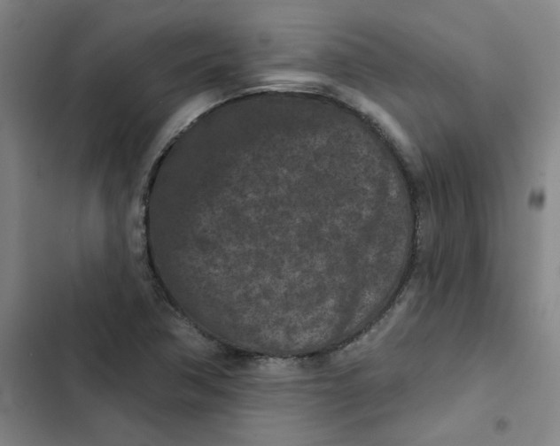 X0000102831362200809151029