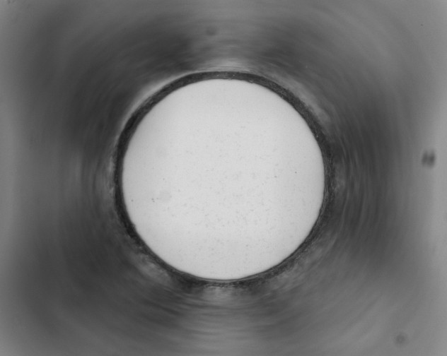 X0000102831364200809151029