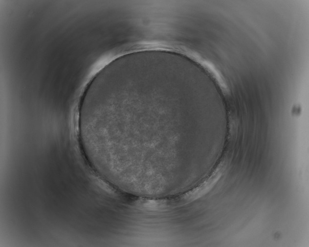 X0000102831365200809151029
