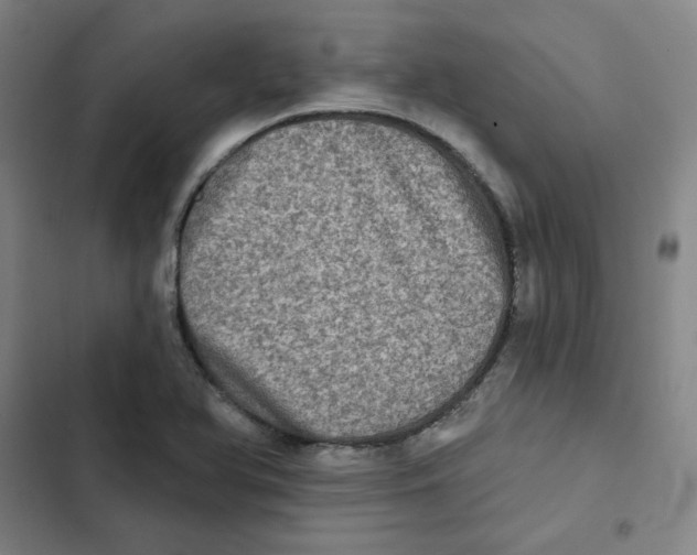 X0000102831366200809151029