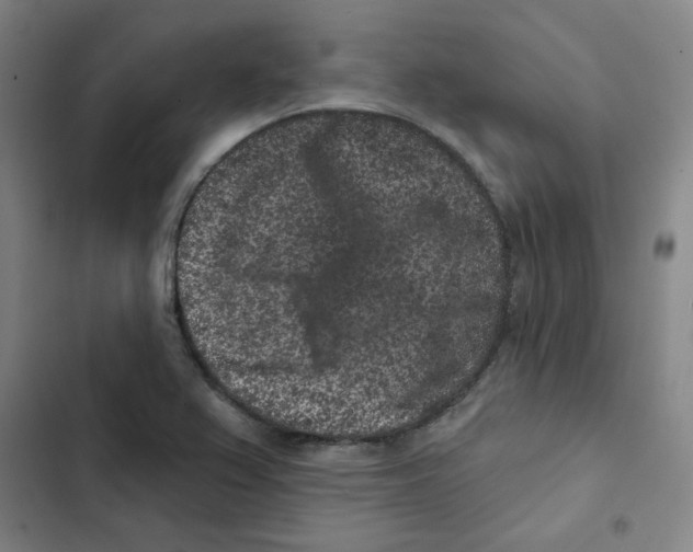 X0000102831367200809151029