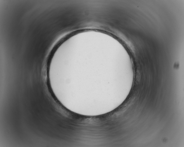 X0000102831368200809151029