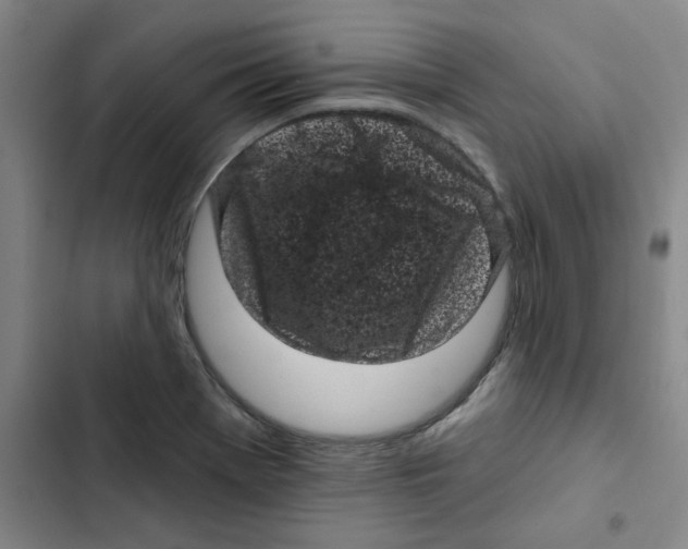 X0000102831369200809151029