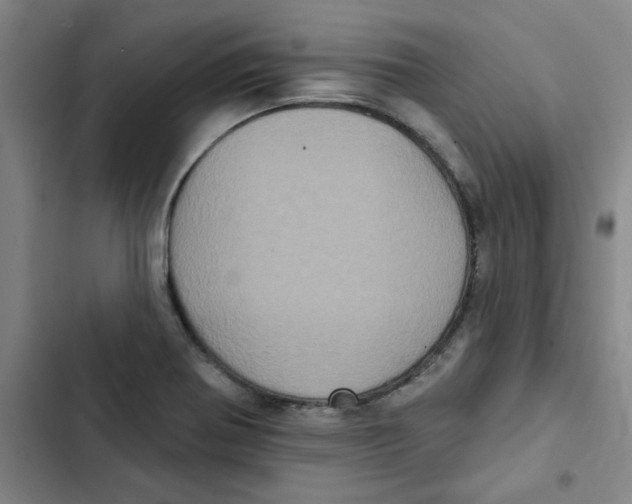 X0000102831370200809151029