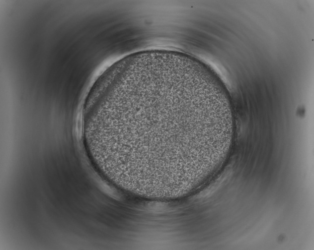 X0000102831371200809151029