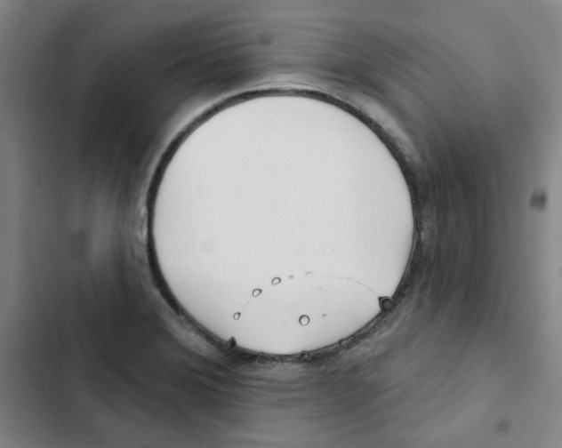 X0000102831372200809151029