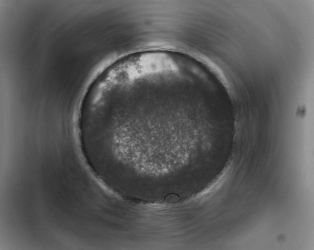 X0000102831373200809151029
