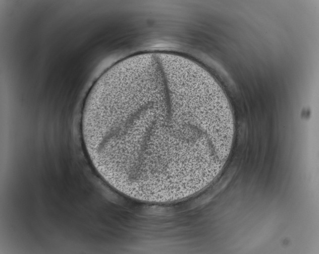 X0000102831374200809151029