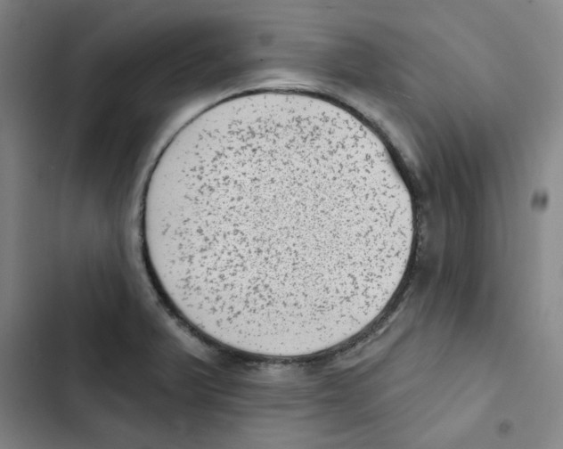 X0000102831375200809151029